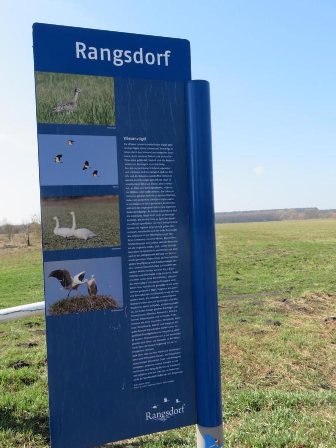 Ferienhaus Schillo Rangsdorf Exteriér fotografie
